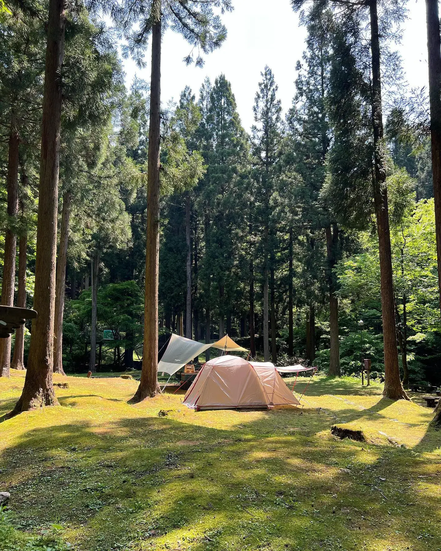 石川県県民の森の2枚目画像