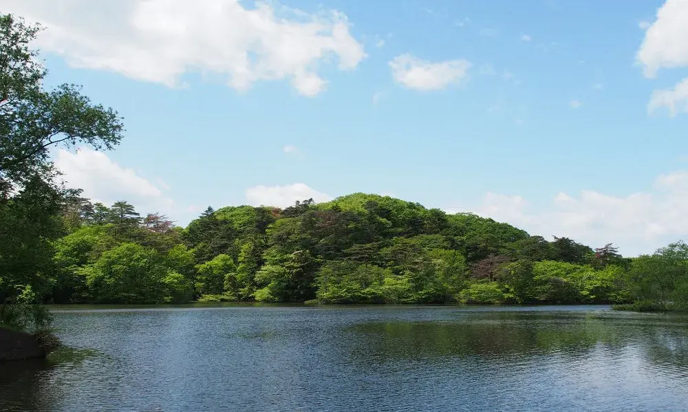 水の森公園キャンプ場の3枚目画像