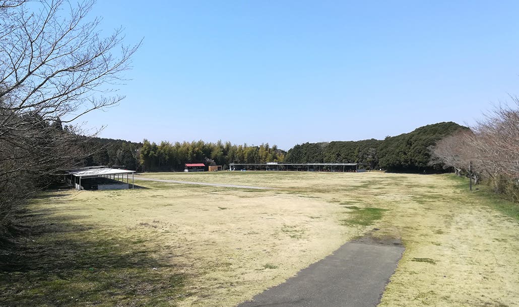 マザー牧場オートキャンプ場の3枚目画像
