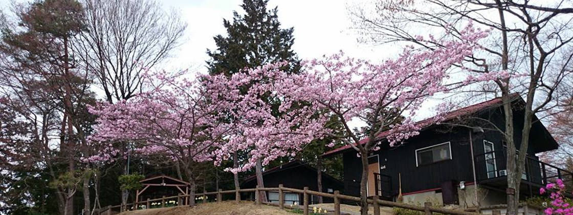 パークアルカディアケビン村の3枚目画像