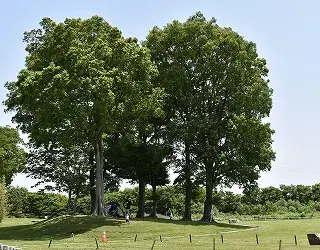淀川河川公園大山崎地区の3枚目画像