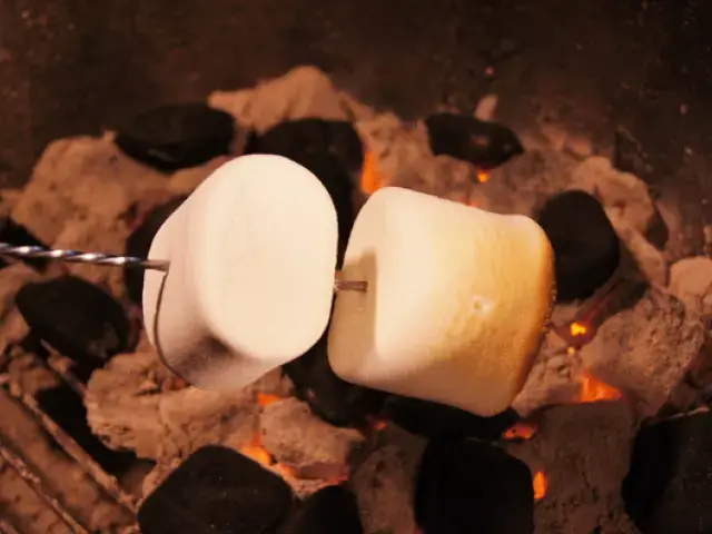 PITMASTERSの3枚目画像
