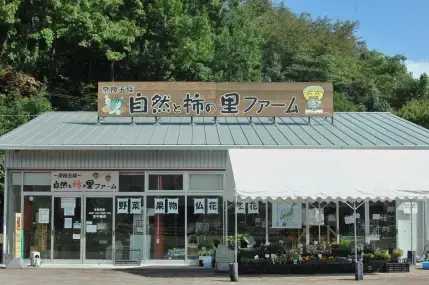 5万人の森公園の3枚目画像