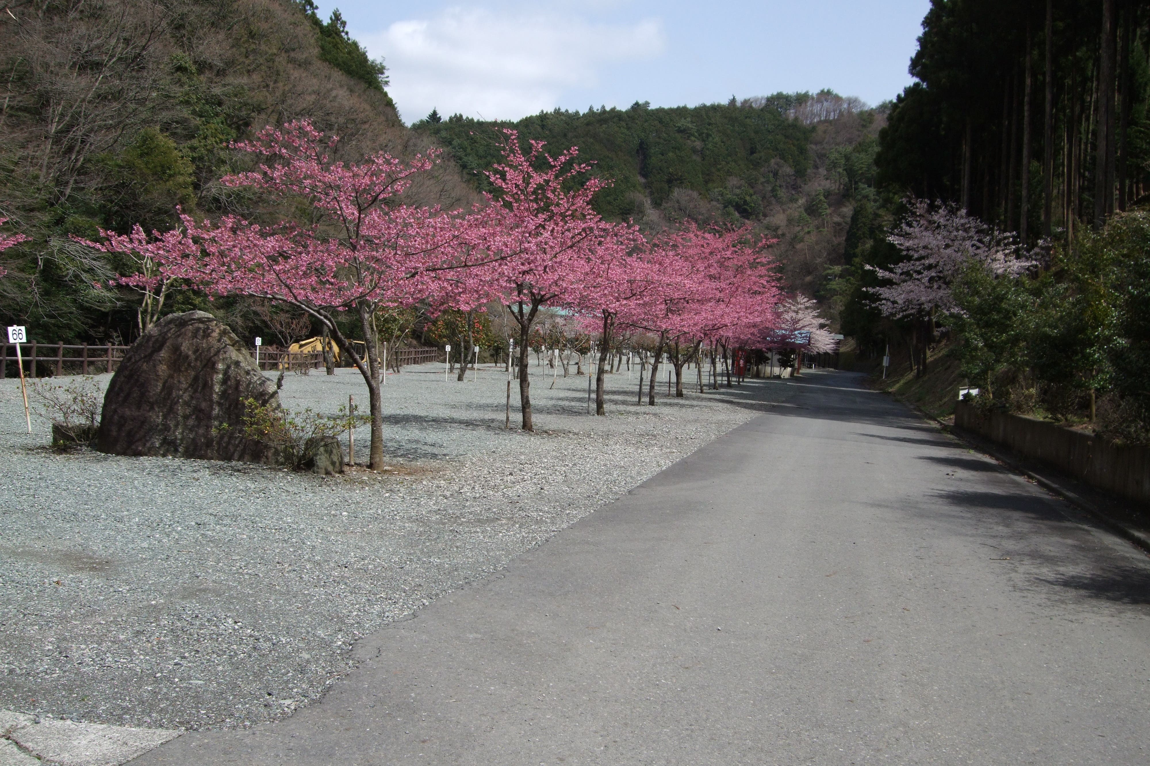 神之川キャンプ場の3枚目画像
