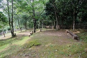 清和県民の森の3枚目画像