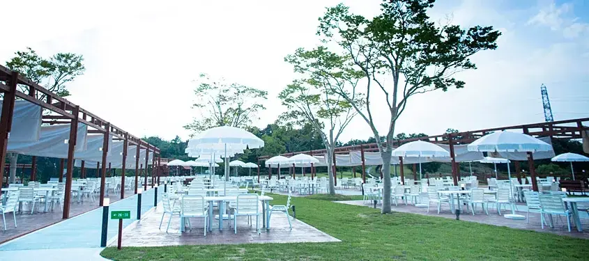 NESTA NATURE CAMP FIELDの3枚目画像