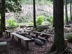 足柄森林公園　丸太の森の3枚目画像