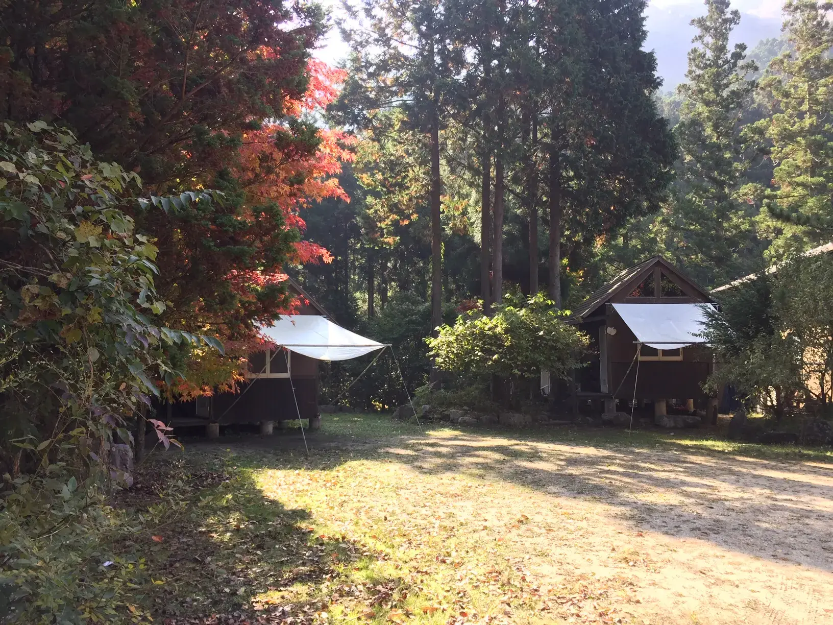 どろがわ山上川キャンプ場西浦の3枚目画像