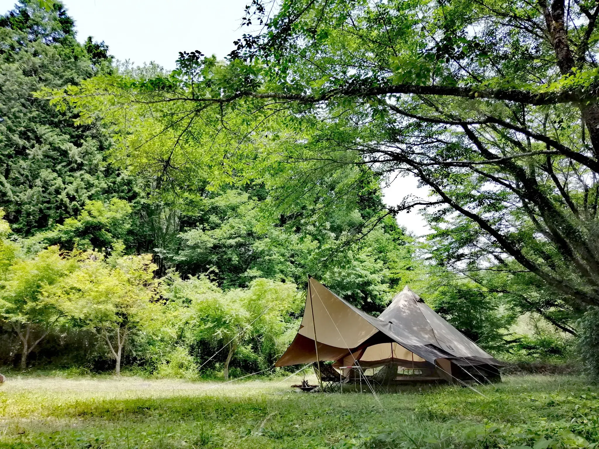 小田原市 いこいの森 RECAMP おだわらの3枚目画像