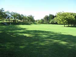 大森山公園の3枚目画像