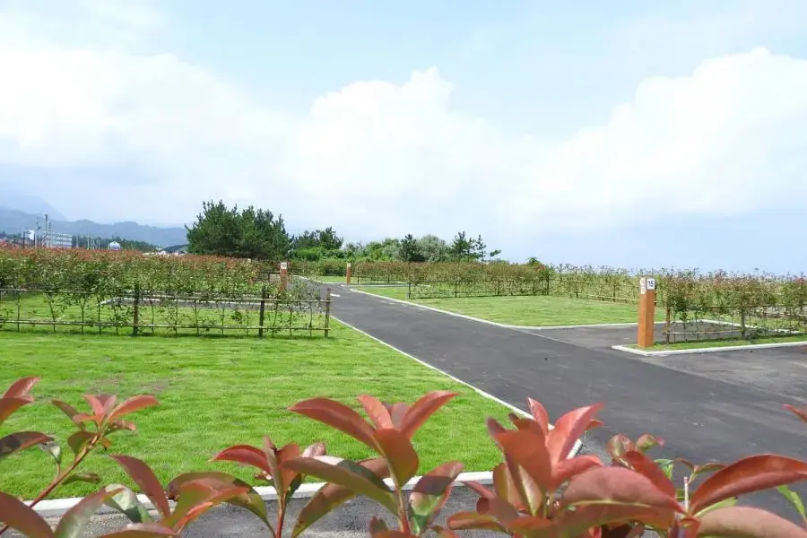 須沢臨海公園オートキャンプ場の3枚目画像