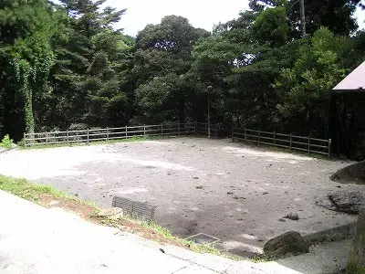 奥平谷キャンプ場の3枚目画像
