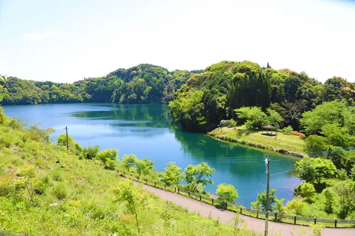 住吉池公園キャンプ村の3枚目画像