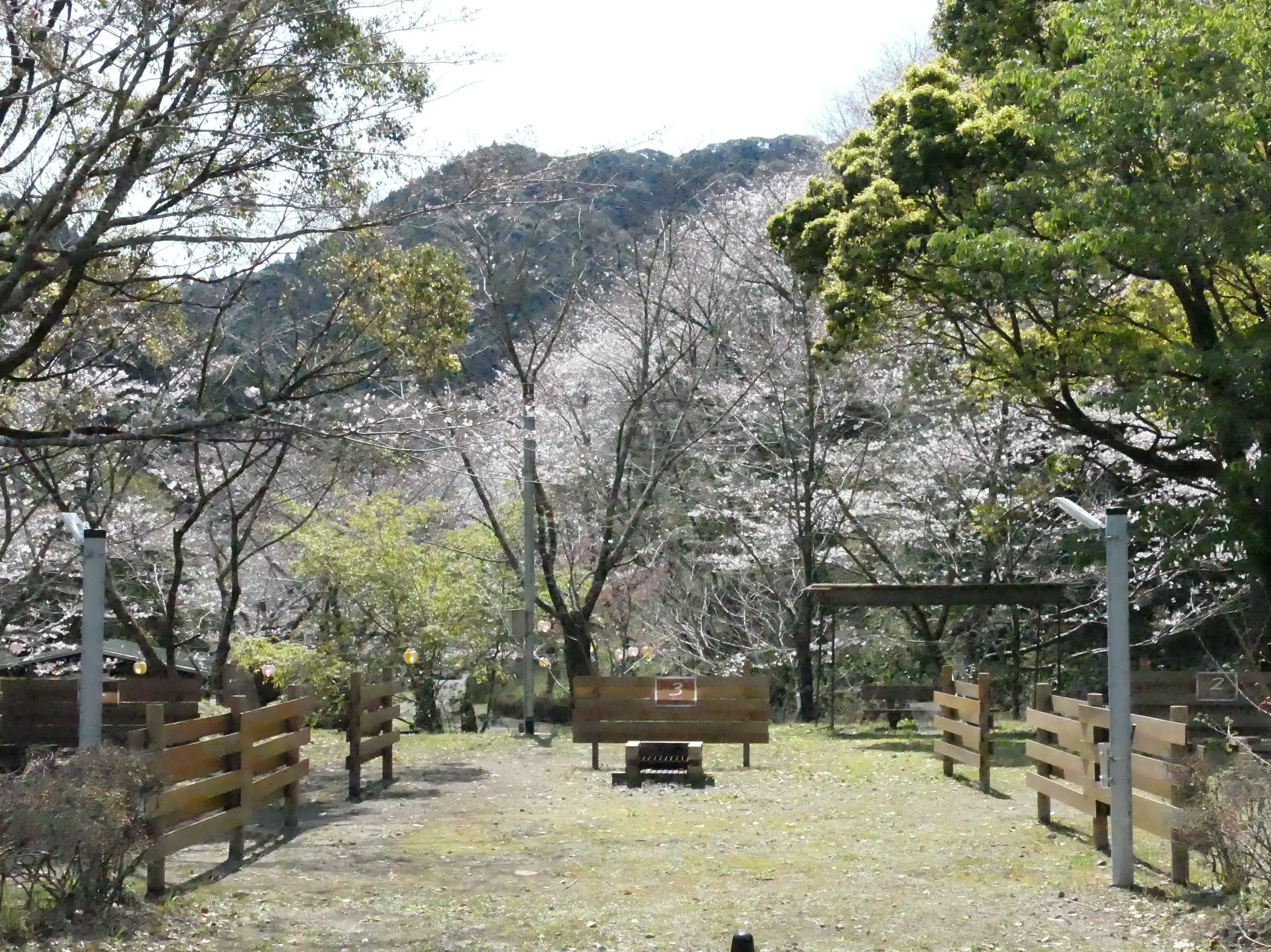 蜂之巣キャンプ場の3枚目画像