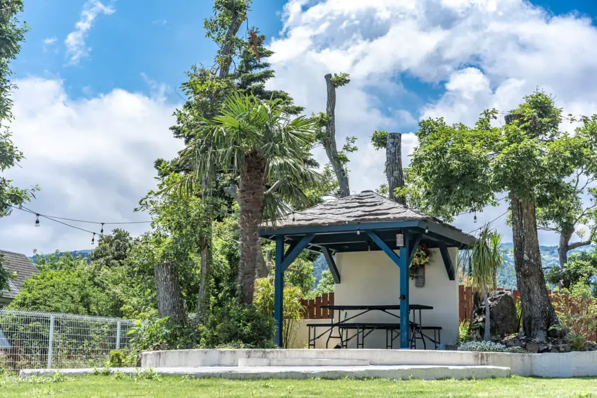 むっくのおうちの3枚目画像