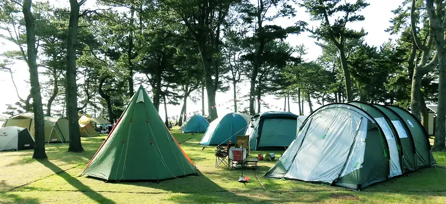 天神岬スポーツ公園キャンプ場の3枚目画像
