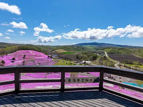 東藻琴芝桜公園キャンプ場の3枚目画像