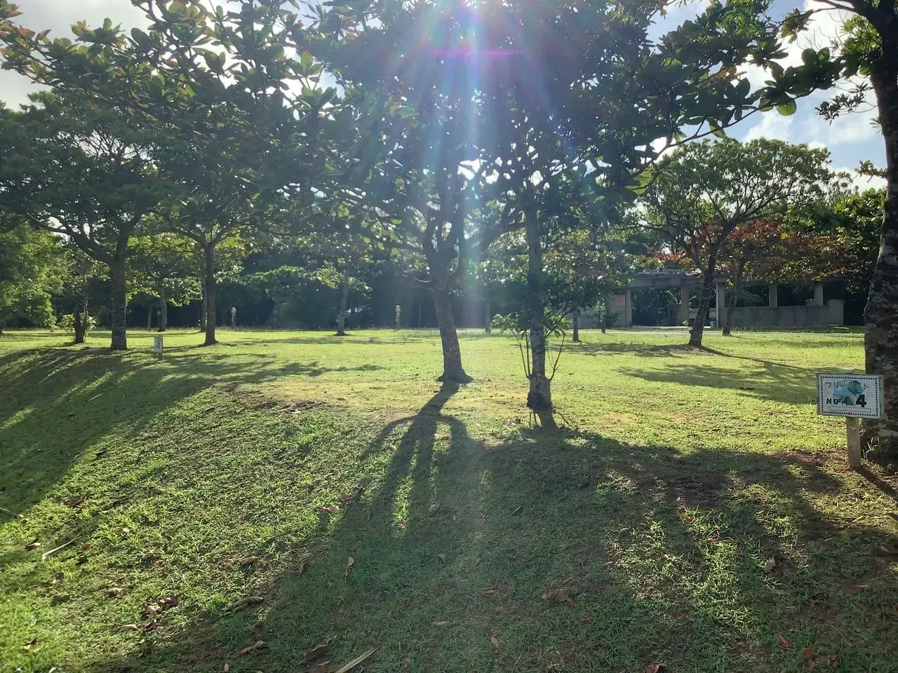 東村村民の森・つつじエコパークの3枚目画像