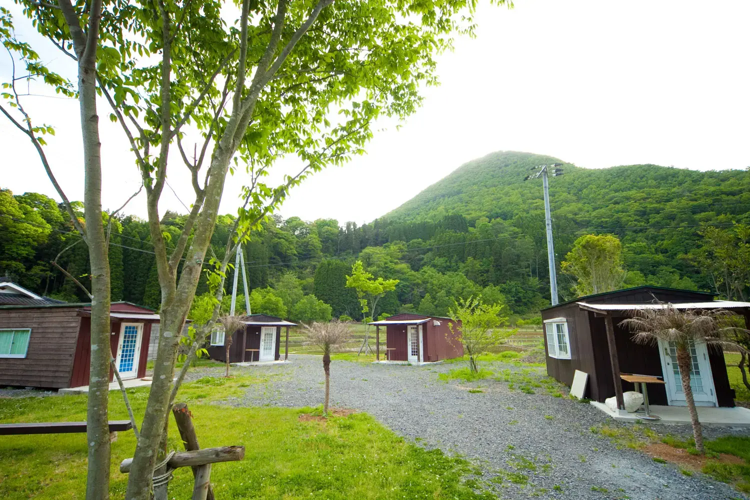 稲積白山川キャンプ村の3枚目画像