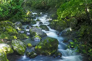 開田高原キャンプ場の3枚目画像