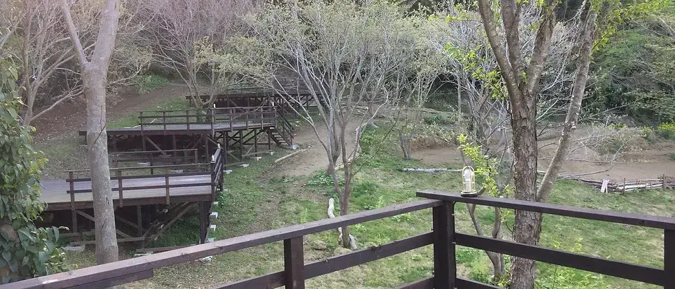 ぼっちの森の3枚目画像