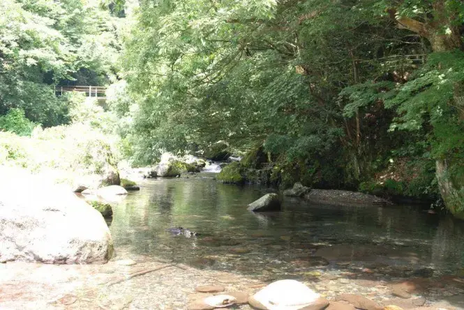 山王谷キャンプ場・たんぽり荘の3枚目画像