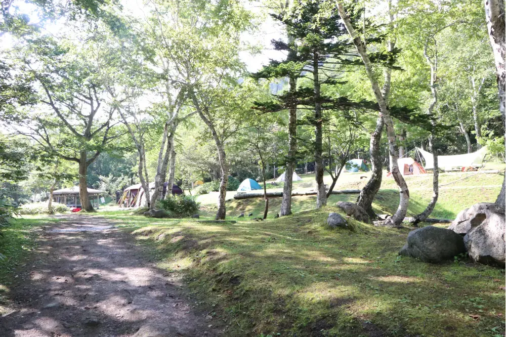 知床国立公園羅臼温泉野営場の3枚目画像