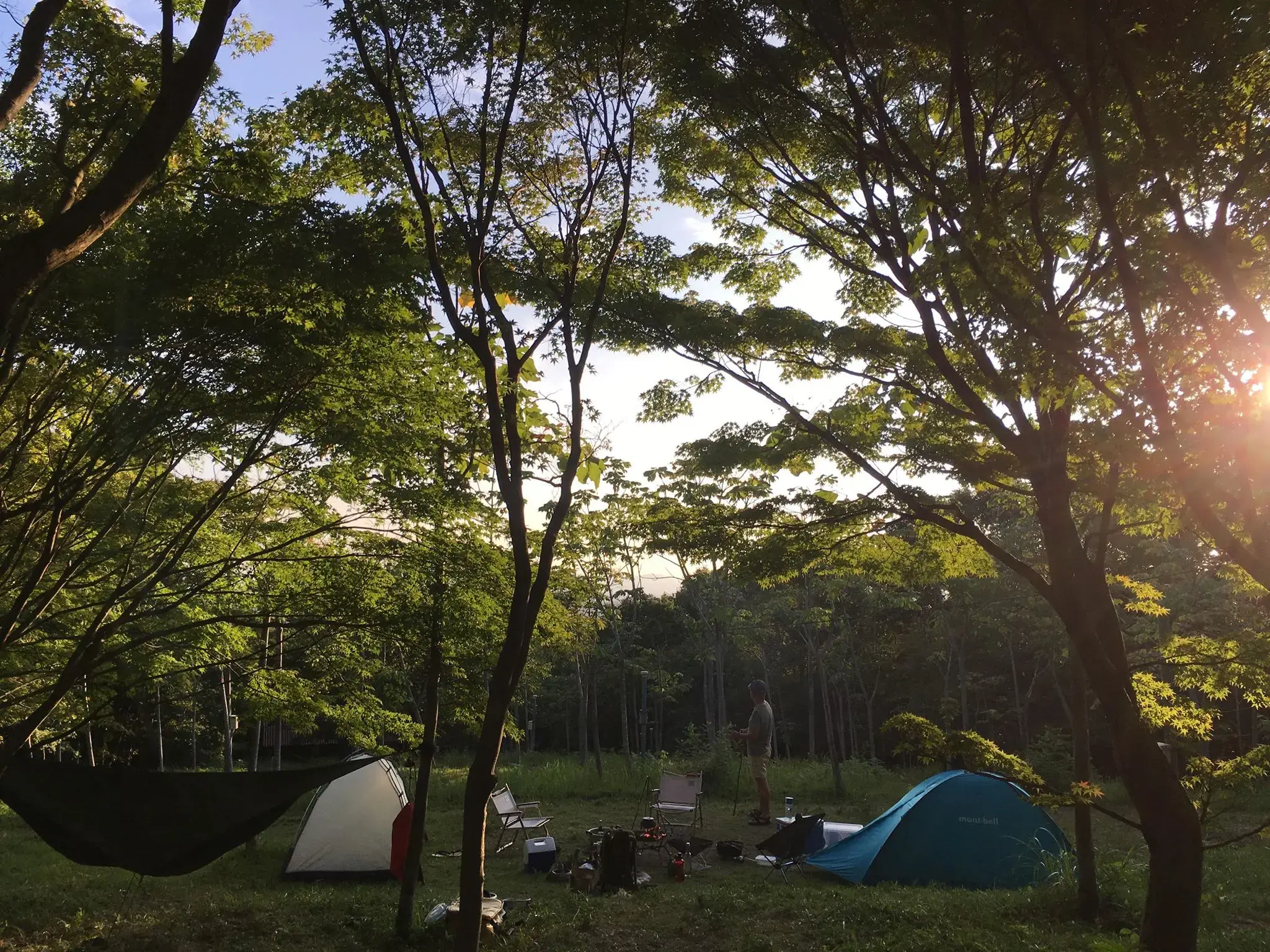 大芦高原キャンプ場-Oh!Ashi Forest-の3枚目画像