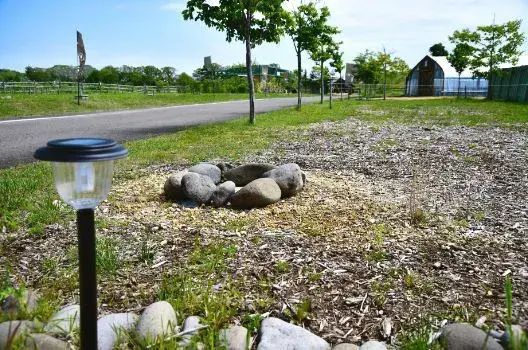 Sheep sheep camping fieldの3枚目画像
