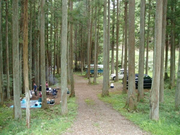 椿荘オートキャンプ場の3枚目画像