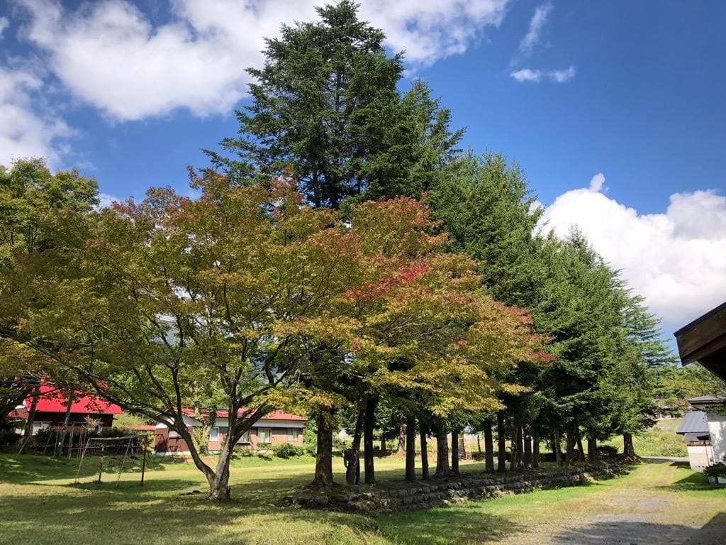 蒜山バイブルキャンプの3枚目画像