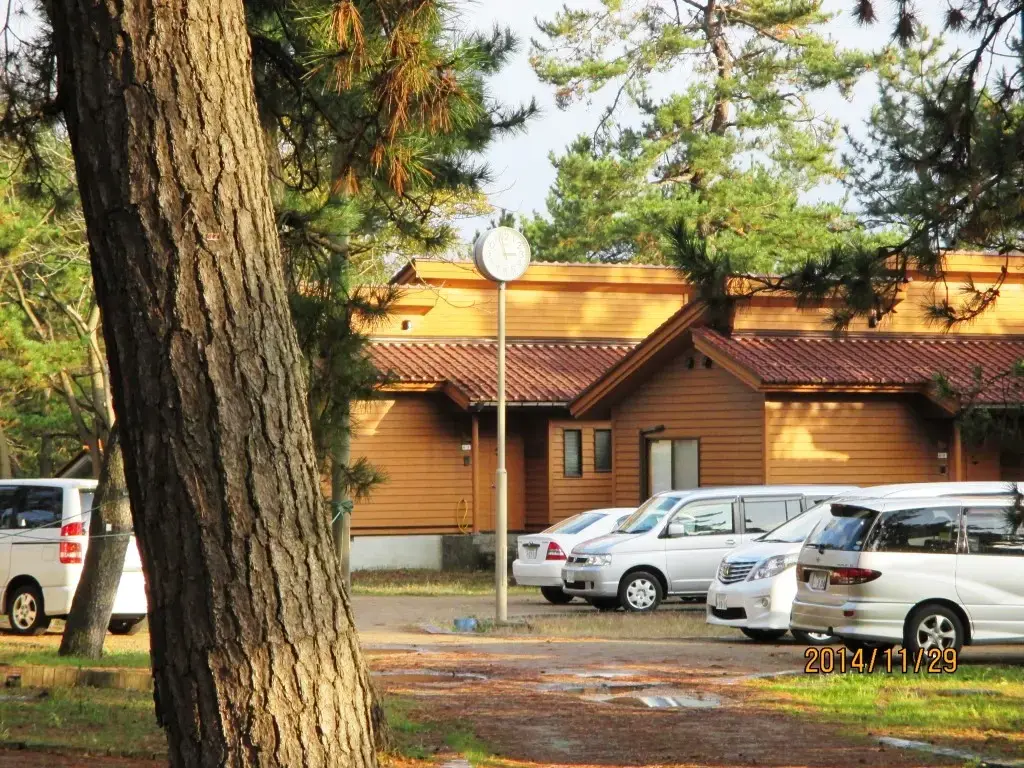 鉢ヶ崎ケビンの3枚目画像