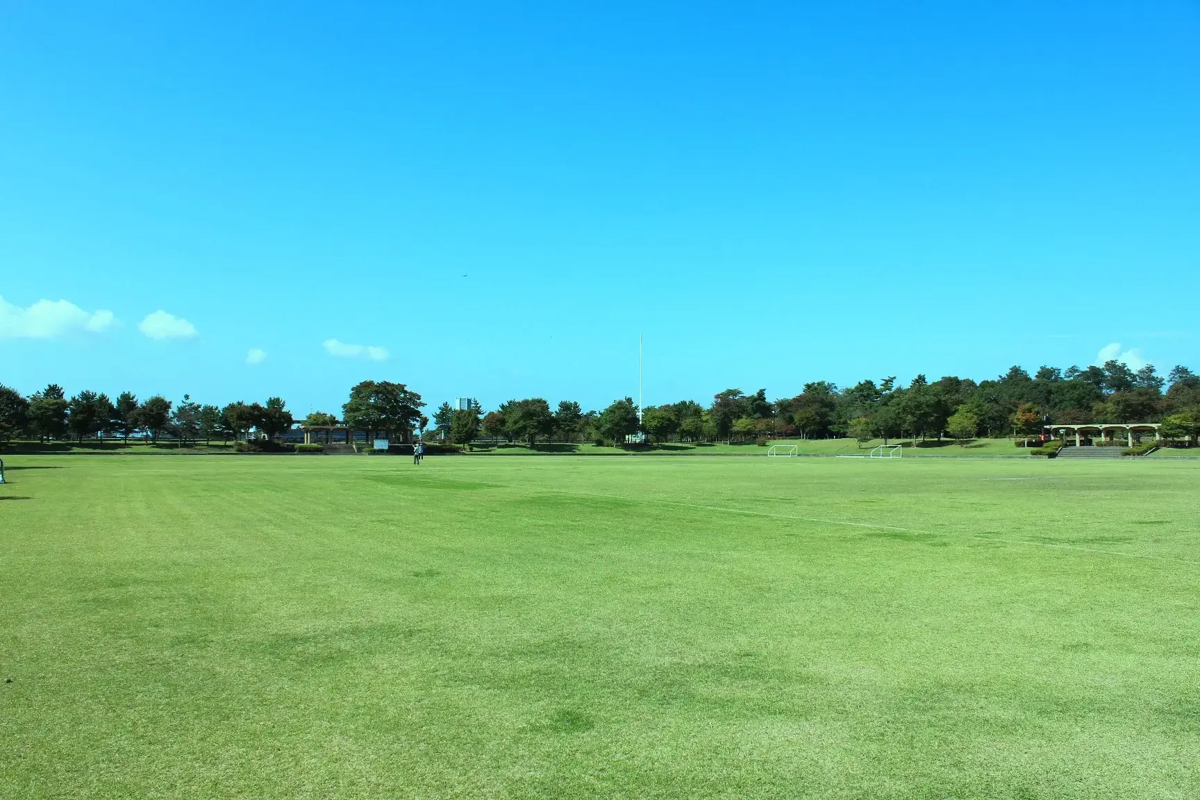 県立中央公園ファミリーピクニックゾーン バーベキュー広場の3枚目画像