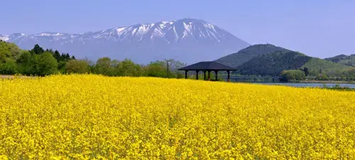 御所湖広域公園 町場地区園地の3枚目画像