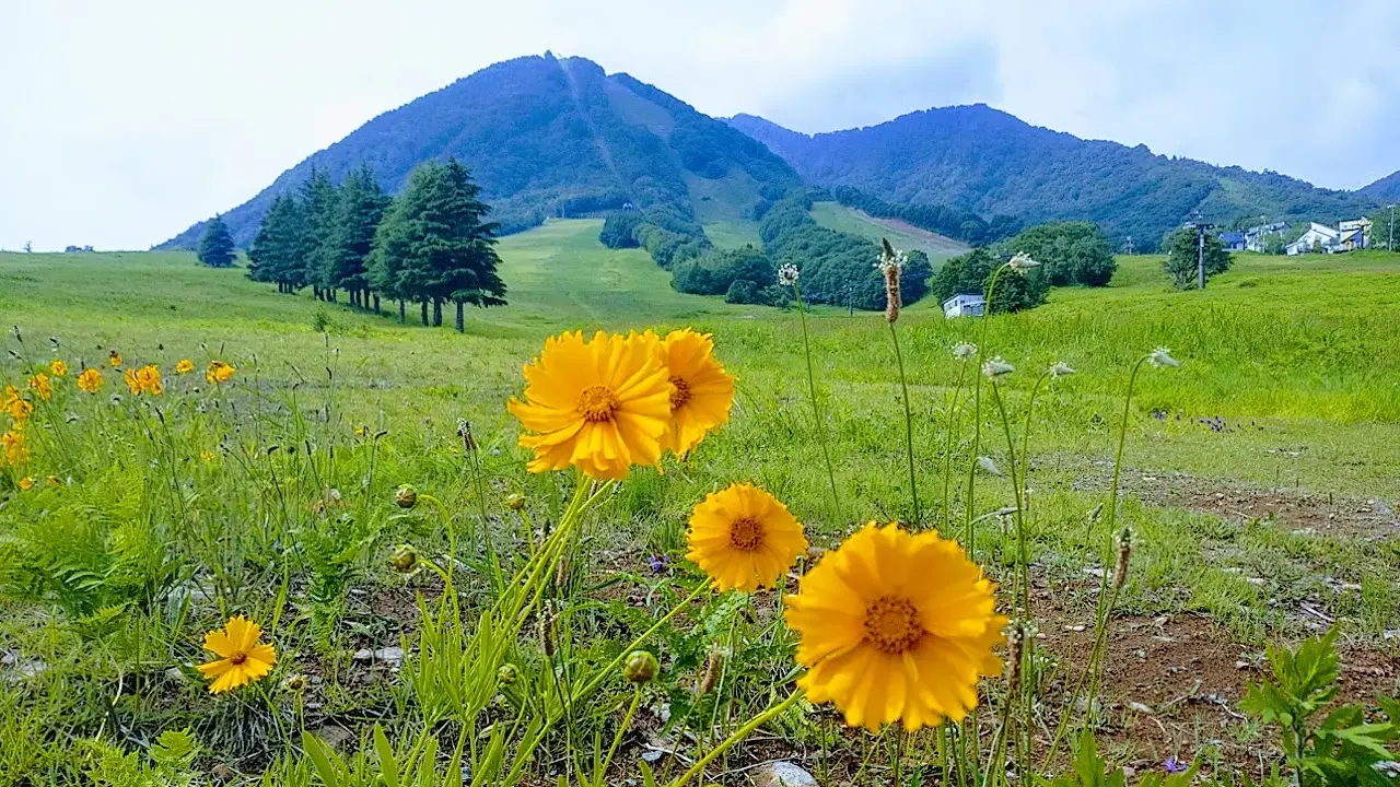 北信州・高社山キャンプ場の3枚目画像