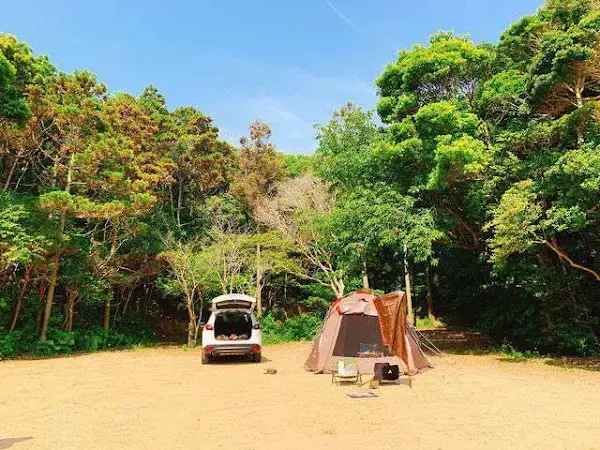 ストロベリービーチキャンプ場の3枚目画像