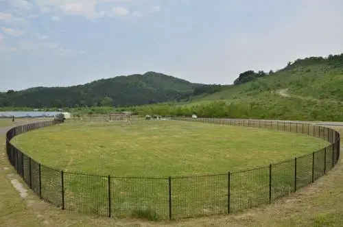たにはま公園の3枚目画像