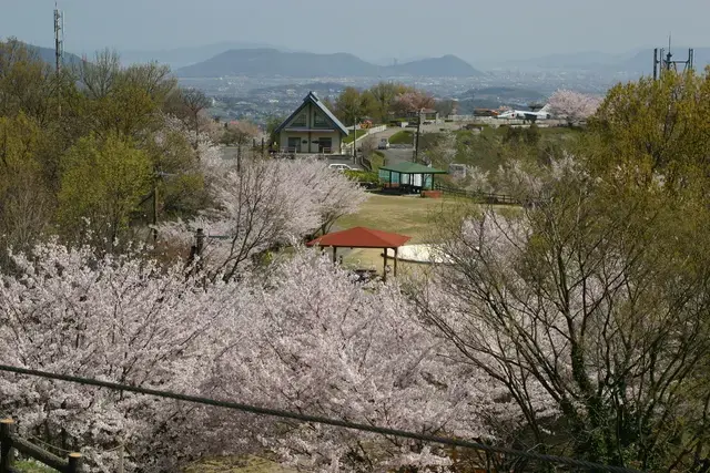 高山航空公園の3枚目画像