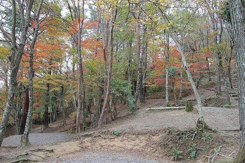 大川山キャンプ場の3枚目画像
