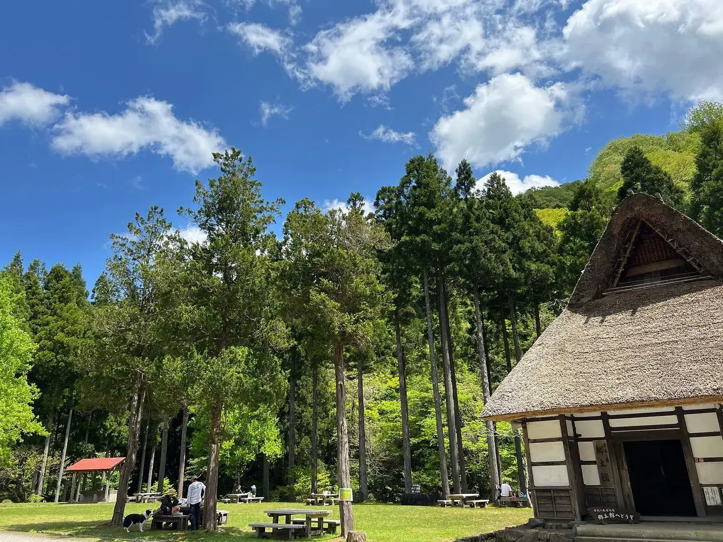 石川県県民の森の3枚目画像