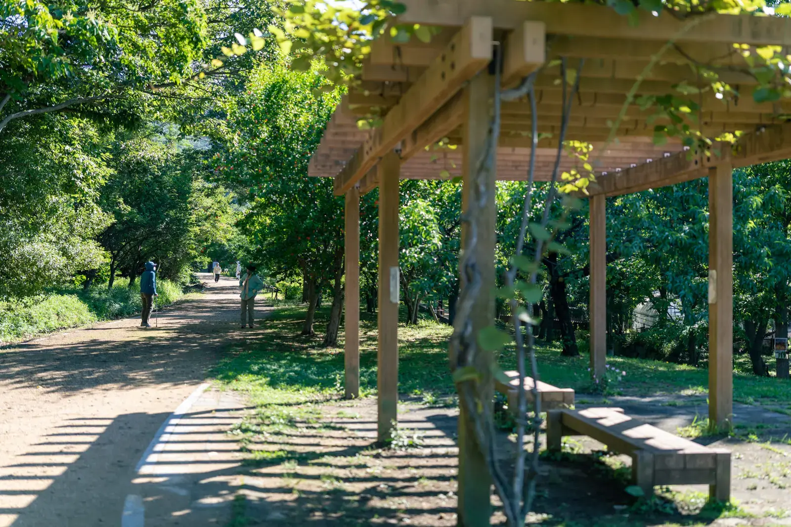 市ノ池公園の3枚目画像