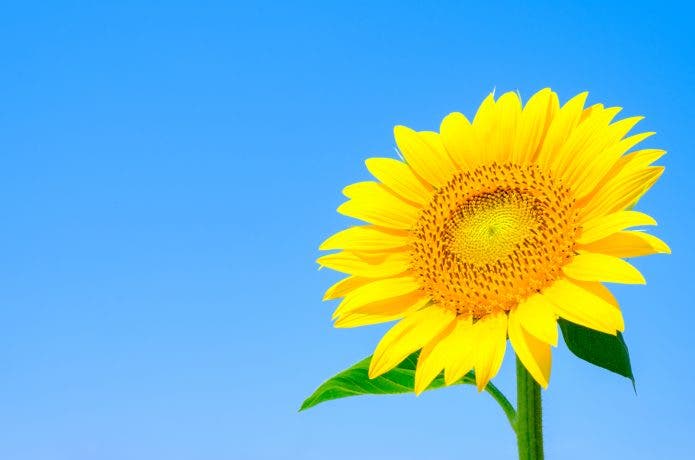 夏のバーベキューで気をつけたいポイントは？