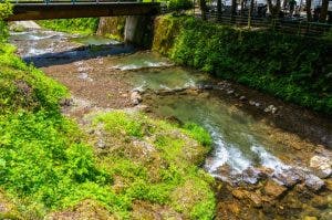 バーベキューをしながら川・河原で釣り
