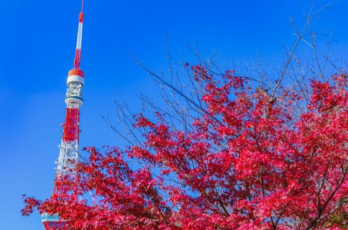 東京都内で紅葉も楽しめるオススメのバーベキュー場はここだ！