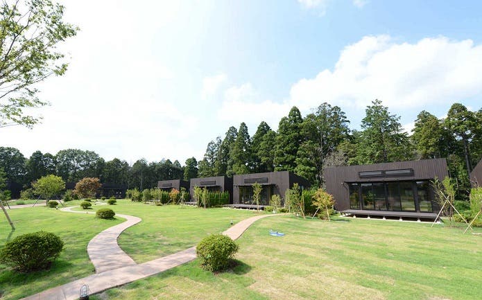 THE FARM