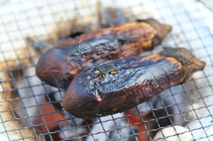 丸焼きの2本のナス
