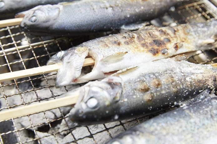 バーベキューで串焼きの魚を焼く