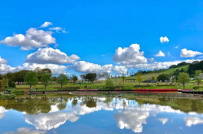 国営越後丘陵公園 野外炊飯広場