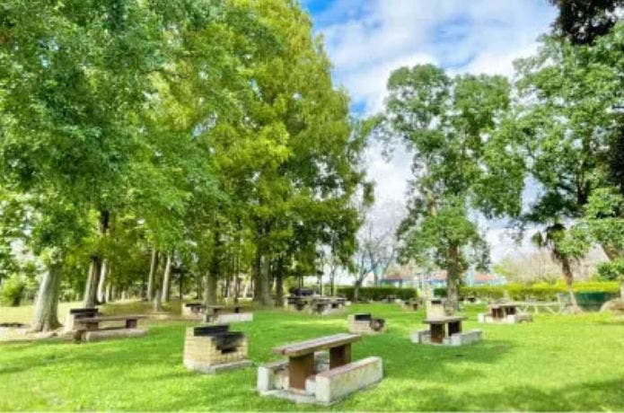 千葉こどもの国キッズダムの設備