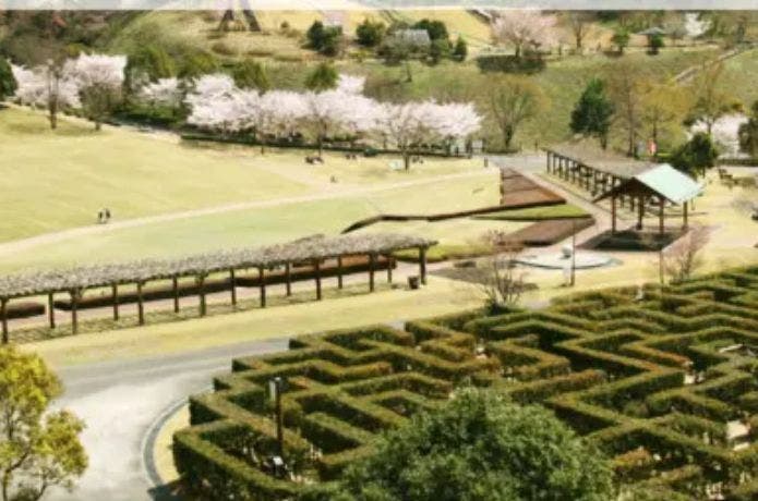 徳島県立 神山森林公園 イルローザの森